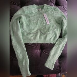 For Love And Lemons Mint Fuzzy Sweater